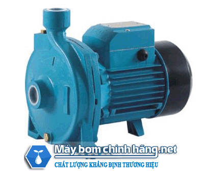 Máy bơm nước ly tâm Lepono XCM Series